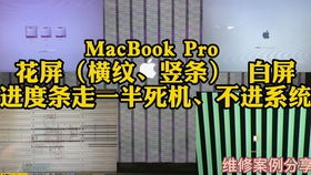 軟硬件的完美搭配 讓你的學習工作如虎添翼的電腦推薦